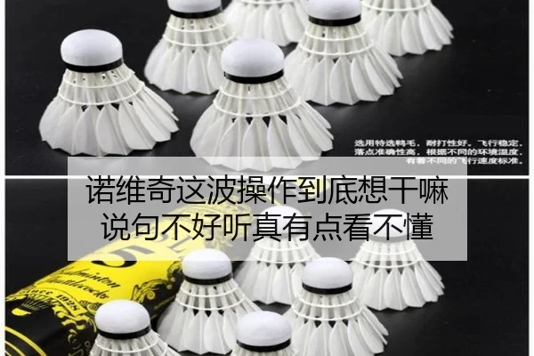 诺维奇这波操作到底想干嘛 说句不好听真有点看不懂