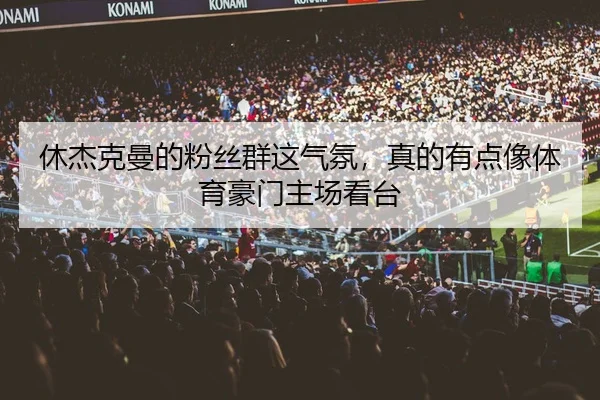休杰克曼的粉丝群这气氛，真的有点像体育豪门主场看台