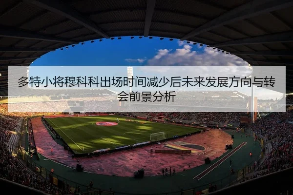 多特小将穆科科出场时间减少后未来发展方向与转会前景分析