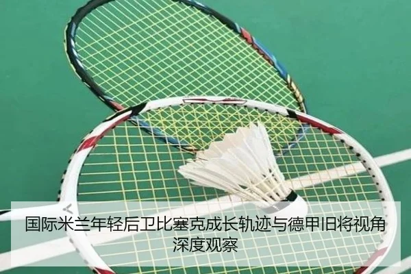 国际米兰年轻后卫比塞克成长轨迹与德甲旧将视角深度观察 | kaiyun