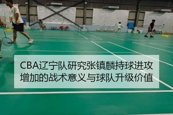 CBA辽宁队研究张镇麟持球进攻增加的战术意义与球队升级价值