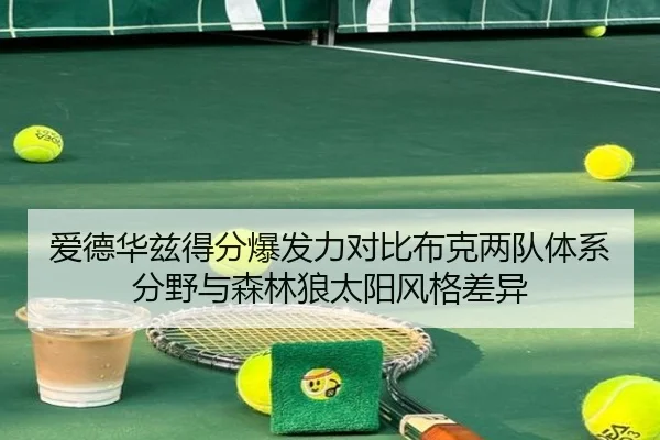 爱德华兹得分爆发力对比布克两队体系分野与森林狼太阳风格差异